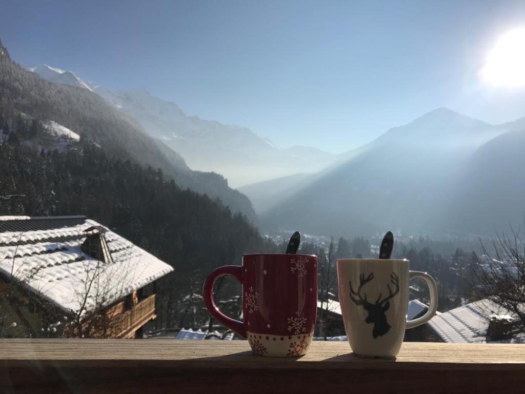 Chalet Du Grand Cerf Servoz Zewnętrze zdjęcie