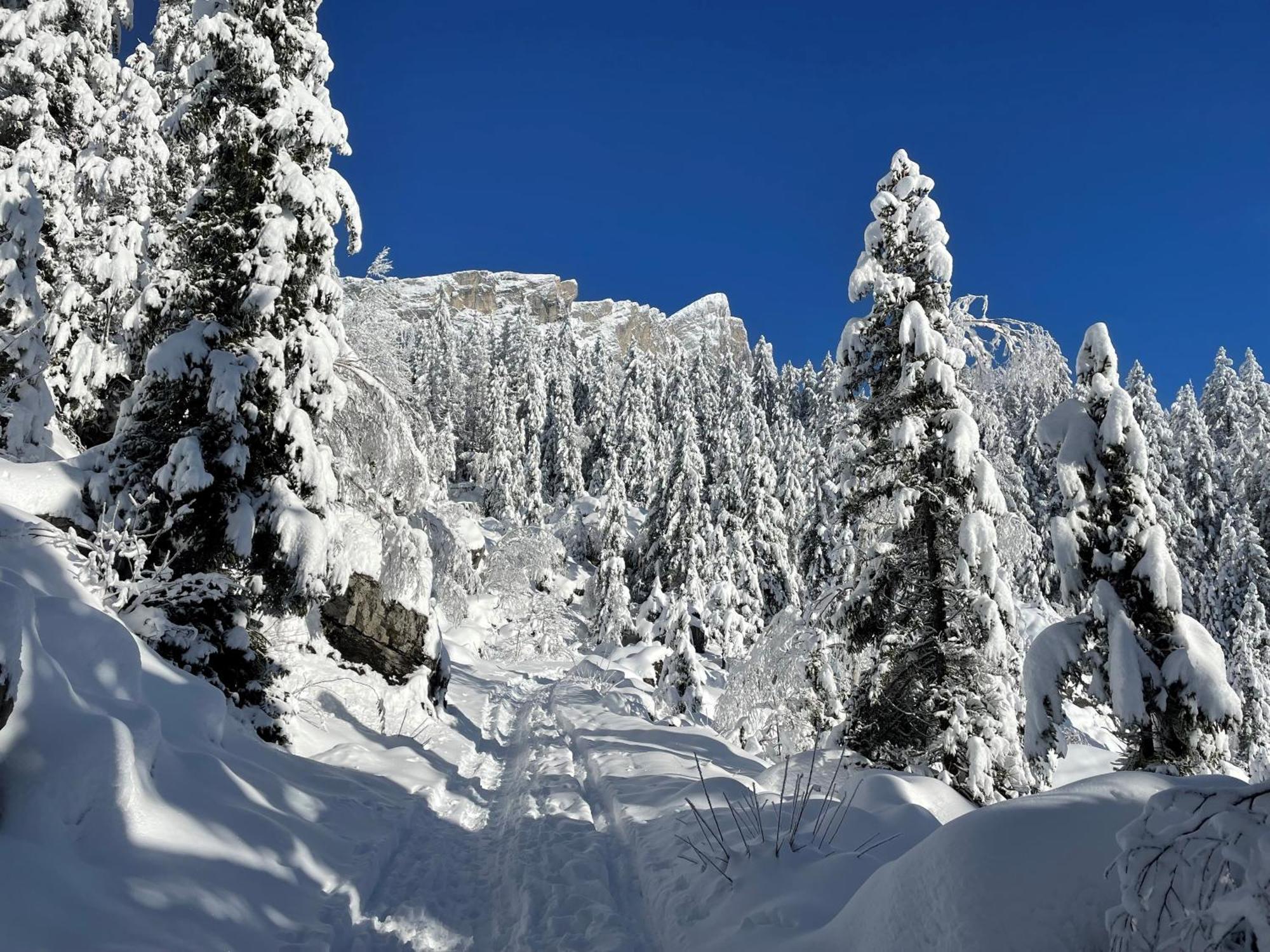 Chalet Du Grand Cerf Servoz Zewnętrze zdjęcie
