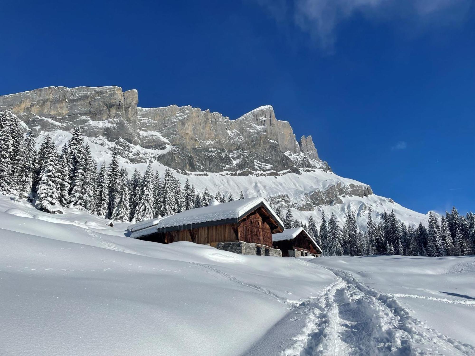 Chalet Du Grand Cerf Servoz Zewnętrze zdjęcie